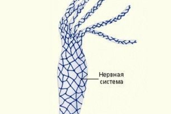 Ссылка на кракен krakens13 at