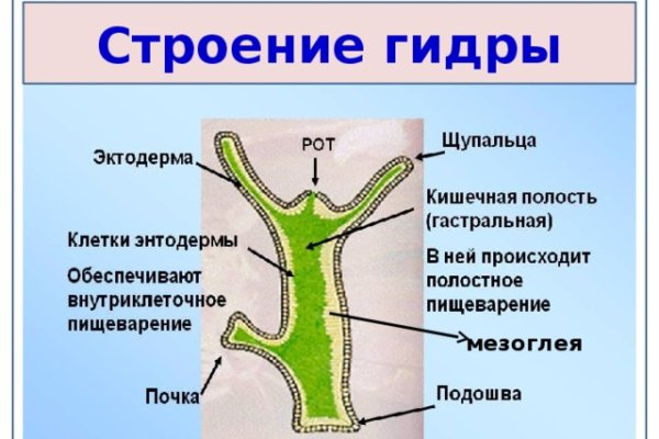 Tor зеркала